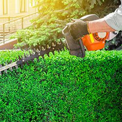 Gartenarbeiten von Steinheimer Home Repair in Heusenstamm. Rembrücken und Umgebung