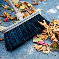 Reinigungsarbeiten von Steinheimer Home Repair in Heusenstamm. Rembrücken und Umgebung